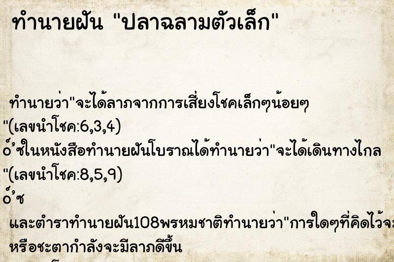 ทำนายฝันปลาฉลามตัวเล็ก ทำนายฝันทำนายฝันปลาฉลามตัวเล็ก
