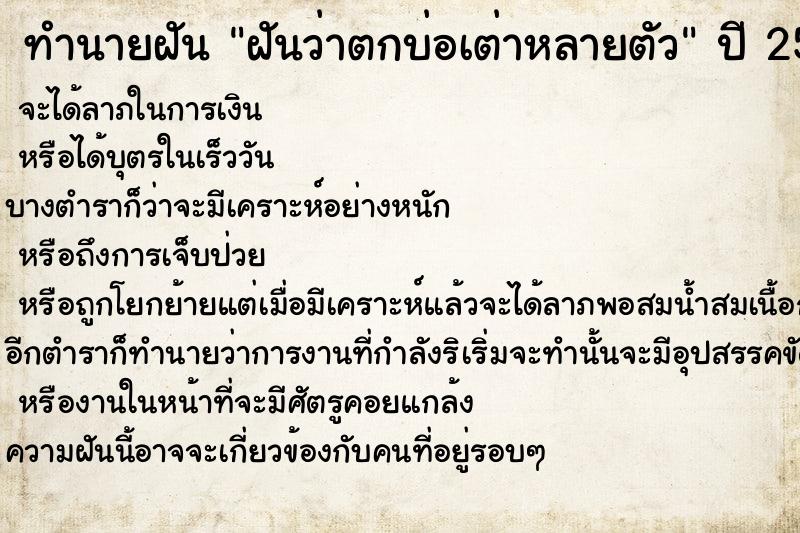 ทำนายฝันฝันว่าตกบ่อเต่าหลายตัว ทำนายฝันทำนายฝันฝันว่าตกบ่อเต่าหลายตัว