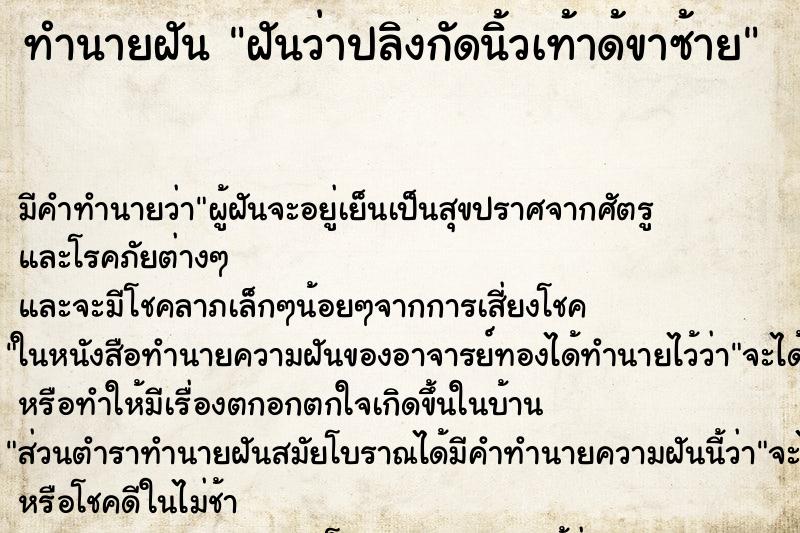 ทำนายฝัน ฝันว่าปลิงกัดนิ้วเท้าด้ขาซ้าย ทำนายฝัน ฝันว่าปลิงกัดนิ้วเท้าด้ขาซ้าย