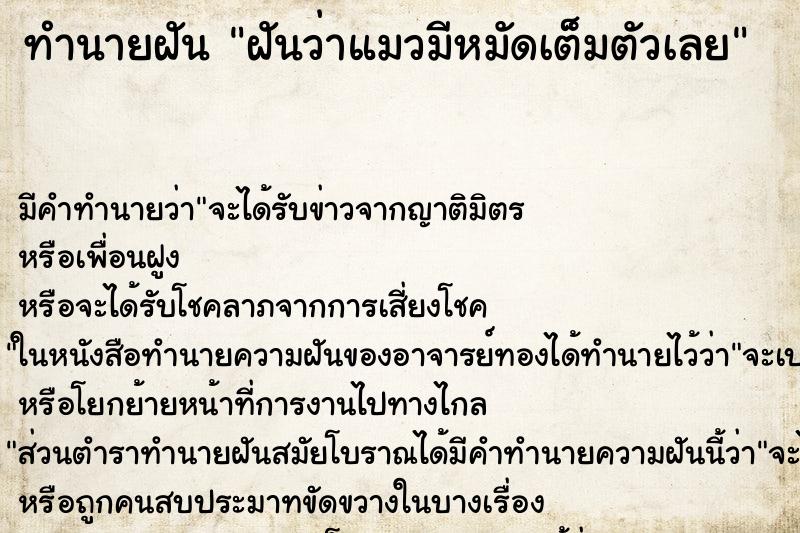 ทำนายฝัน ฝันว่าแมวมีหมัดเต็มตัวเลย ทำนายฝัน ฝันว่าแมวมีหมัดเต็มตัวเลย