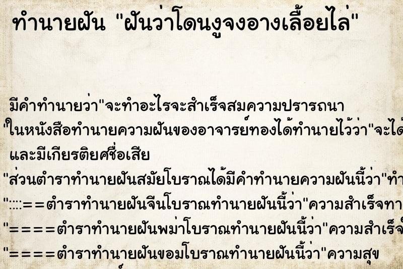 ทำนายฝัน ฝันว่าโดนงูจงอางเลื้อยไล่ ทำนายฝัน ฝันว่าโดนงูจงอางเลื้อยไล่