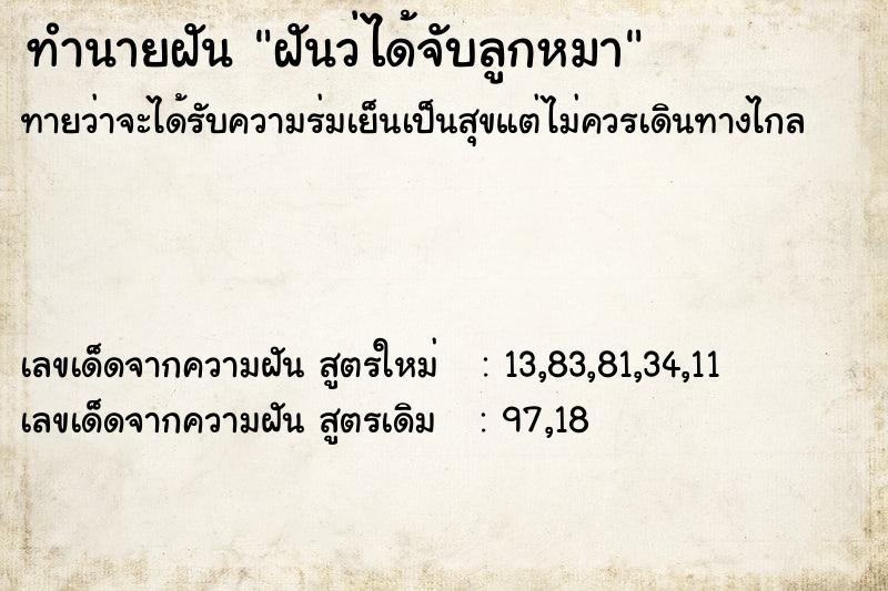 ทำนายฝันฝันว่ได้จับลูกหมา ทำนายฝันทำนายฝันฝันว่ได้จับลูกหมา