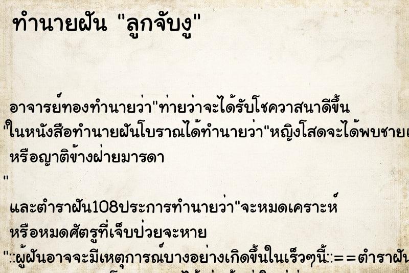 ทำนายฝัน ลูกจับงู ทำนายฝัน ลูกจับงู