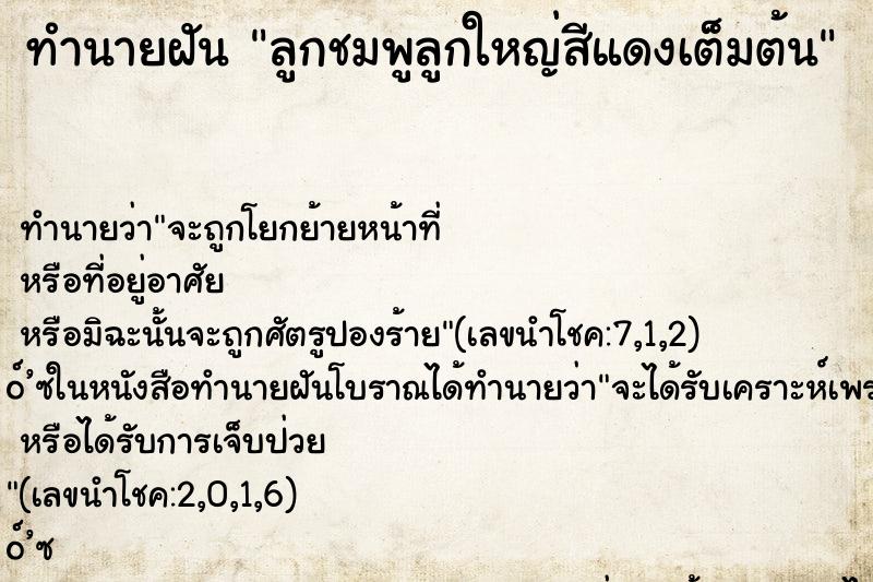 ทำนายฝันลูกชมพูลูกใหญ่สีแดงเต็มต้น ทำนายฝันทำนายฝันลูกชมพูลูกใหญ่สีแดงเต็มต้น