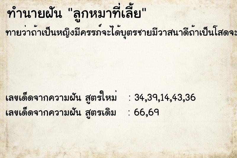 ทำนายฝันทำนายฝันลูกหมาที่เลี้ย
