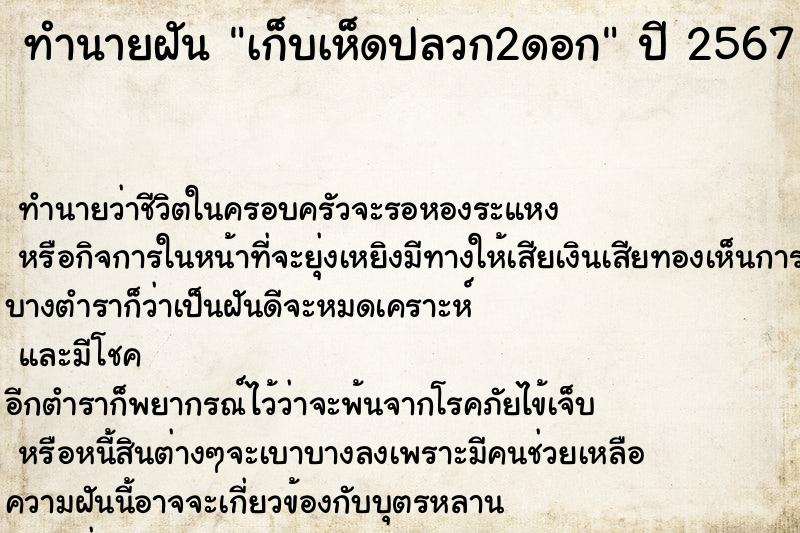 ทำนายฝันเก็บเห็ดปลวก2ดอก ทำนายฝันทำนายฝันเก็บเห็ดปลวก2ดอก
