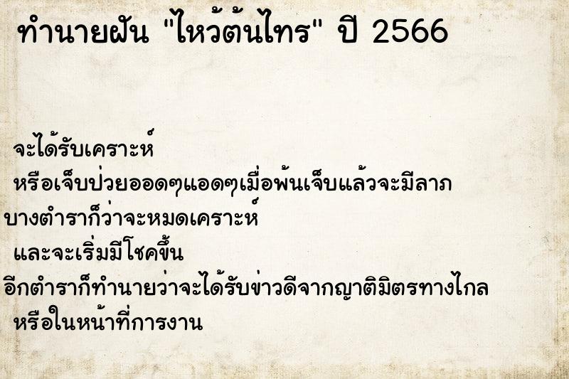 ทำนายฝันไหว้ต้นไทร ทำนายฝันทำนายฝันไหว้ต้นไทร