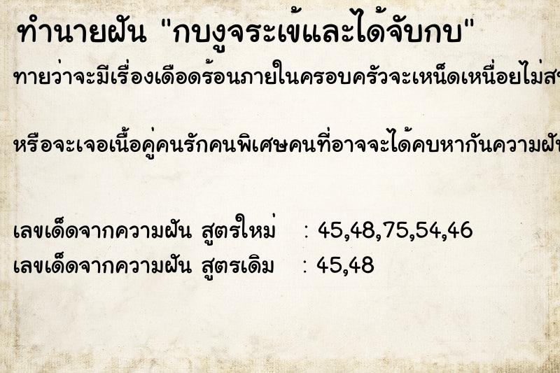 ทำนายฝัน กบงูจระเข้และได้จับกบ ทำนายฝัน กบงูจระเข้และได้จับกบ
