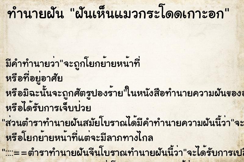 ทำนายฝัน ฝันเห็นแมวกระโดดเกาะอก ตำราโบราณ แม่นที่สุดในโลก