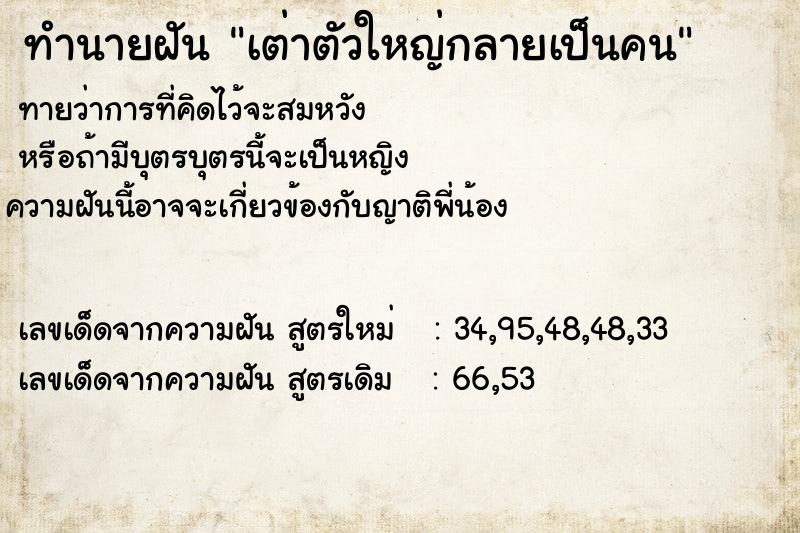 ทำนายฝันทำนายฝันเต่าตัวใหญ่กลายเป็นคน