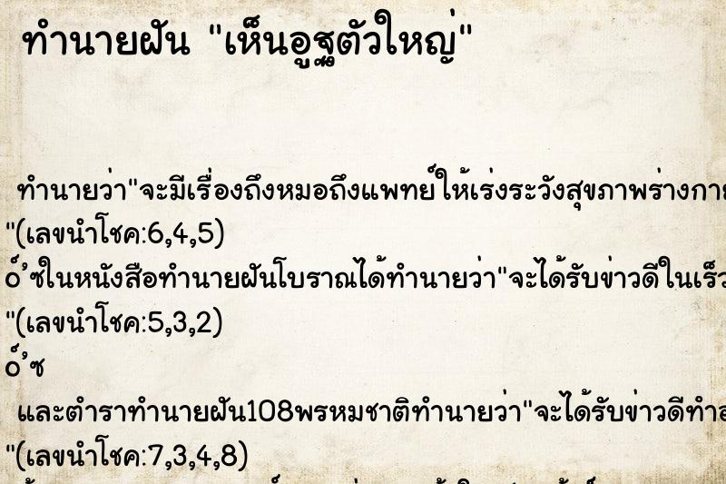 ทำนายฝันเห็นอูฐตัวใหญ่ ทำนายฝันทำนายฝันเห็นอูฐตัวใหญ่