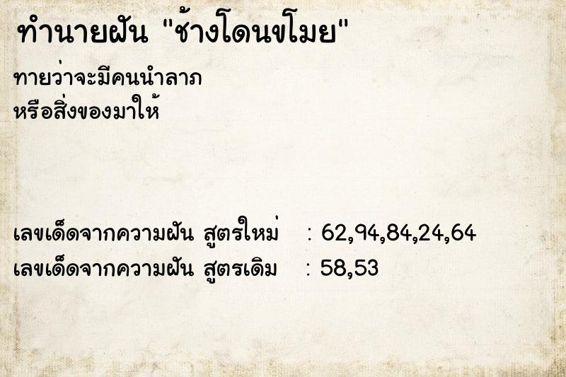 ทำนายฝันช้างโดนขโมย ทำนายฝันทำนายฝันช้างโดนขโมย