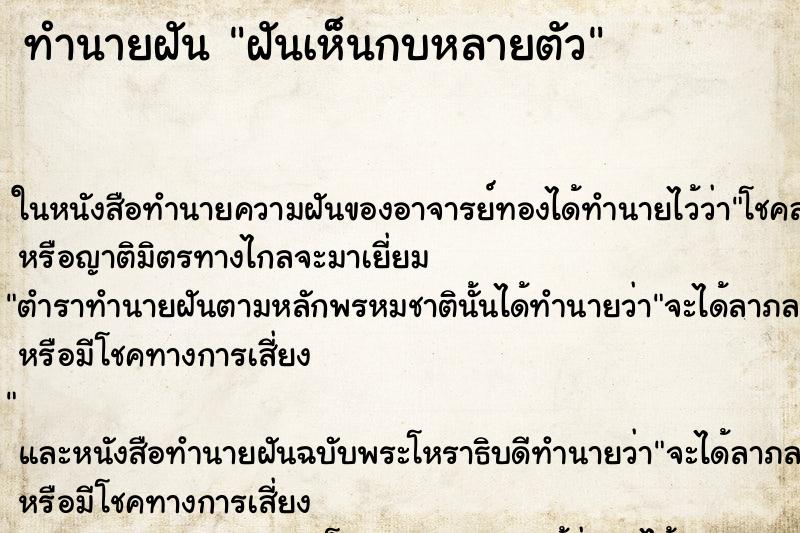 ทำนายฝันทำนายฝันฝันเห็นกบหลายตัว