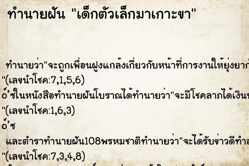 ทำนายฝัน เด็กตัวเล็กมาเกาะขา ทำนายฝัน เด็กตัวเล็กมาเกาะขา