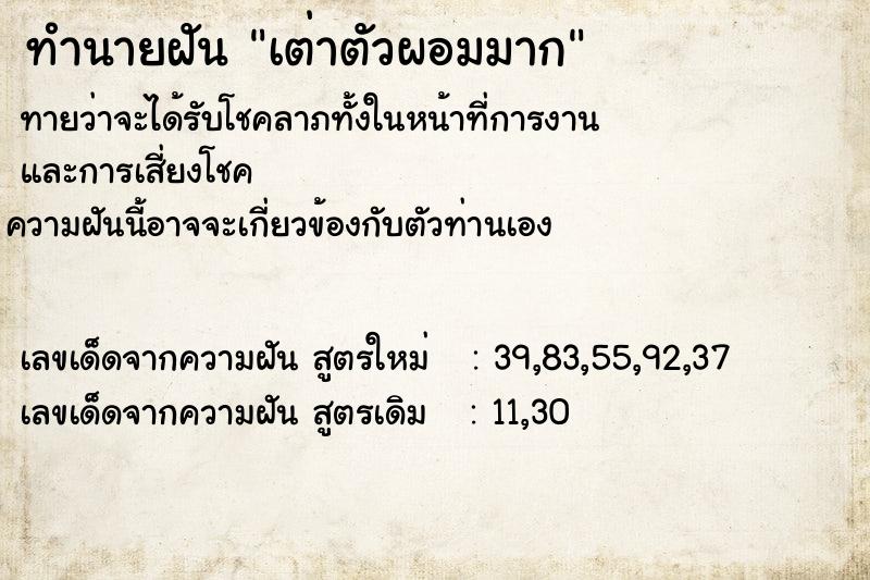 ทำนายฝันเต่าตัวผอมมาก ทำนายฝันทำนายฝันเต่าตัวผอมมาก