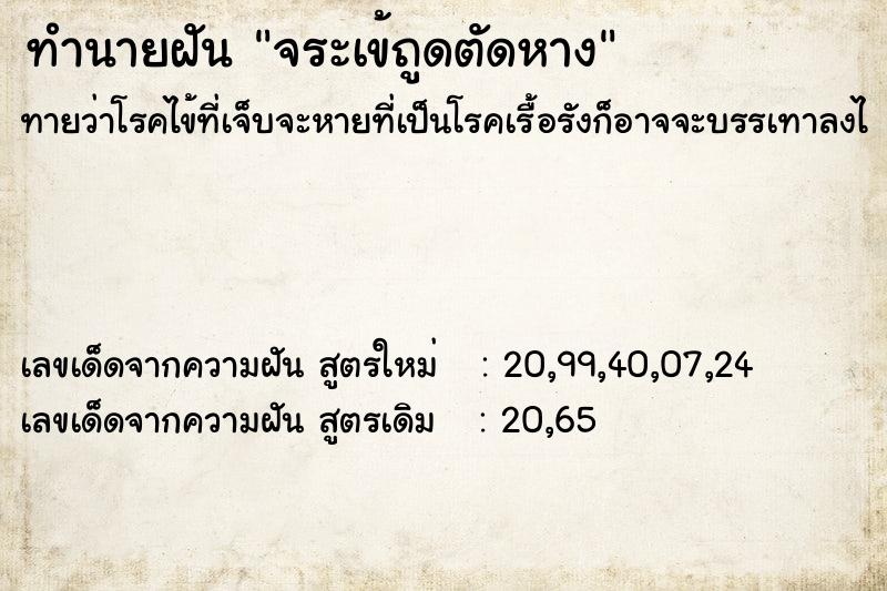 ทำนายฝันจระเข้ถูดตัดหาง ทำนายฝันทำนายฝันจระเข้ถูดตัดหาง