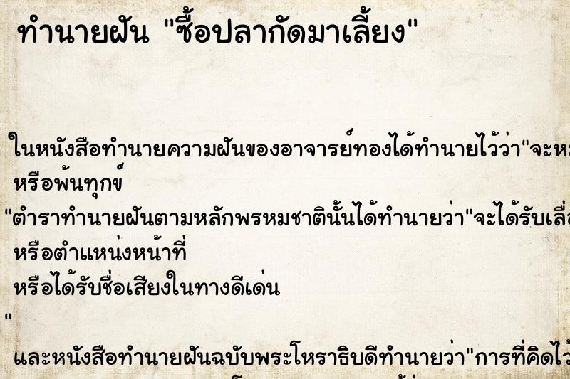 ทำนายฝัน ซื้อปลากัดมาเลี้ยง ทำนายฝัน ซื้อปลากัดมาเลี้ยง