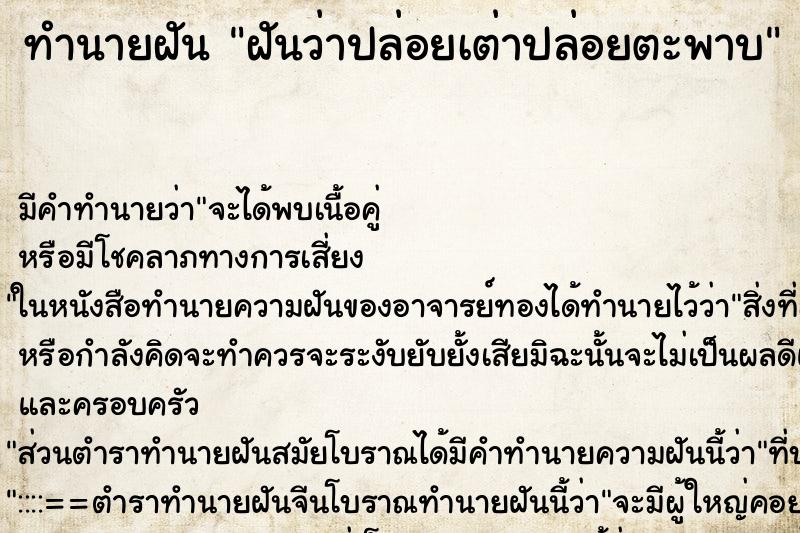 ทำนายฝัน ฝันว่าปล่อยเต่าปล่อยตะพาบ ทำนายฝัน ฝันว่าปล่อยเต่าปล่อยตะพาบ