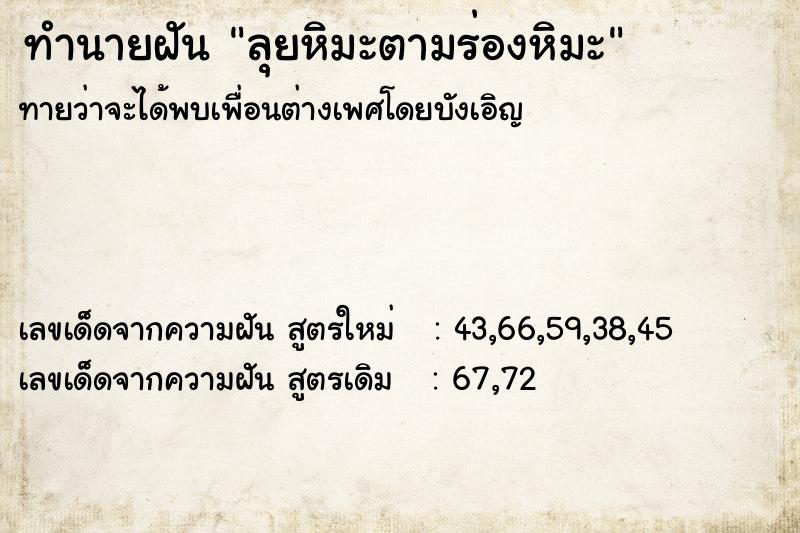 ทำนายฝันทำนายฝันลุยหิมะตามร่องหิมะ