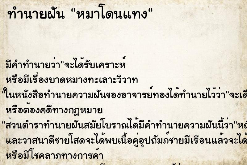 ทำนายฝัน หมาโดนแทง ตำราโบราณ แม่นที่สุดในโลก