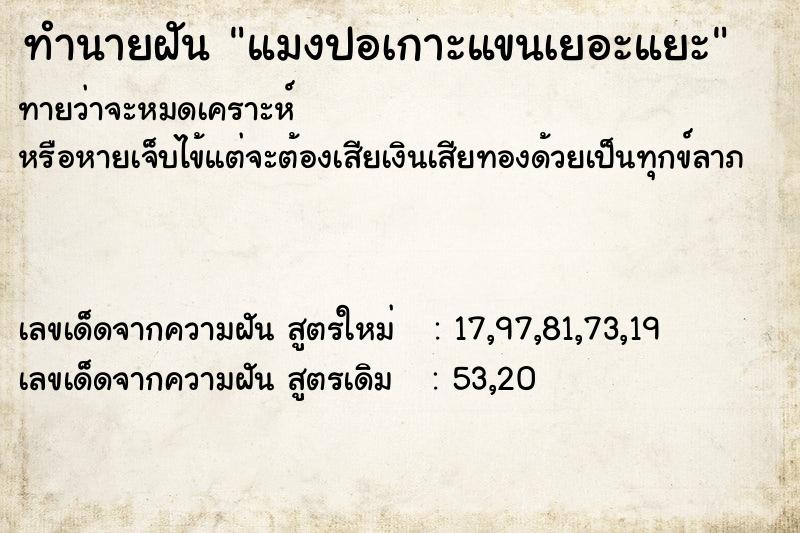 ทำนายฝัน แมงปอเกาะแขนเยอะแยะ ทำนายฝัน แมงปอเกาะแขนเยอะแยะ