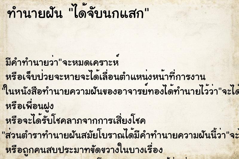 ทำนายฝันได้จับนกแสก ทำนายฝันทำนายฝันได้จับนกแสก