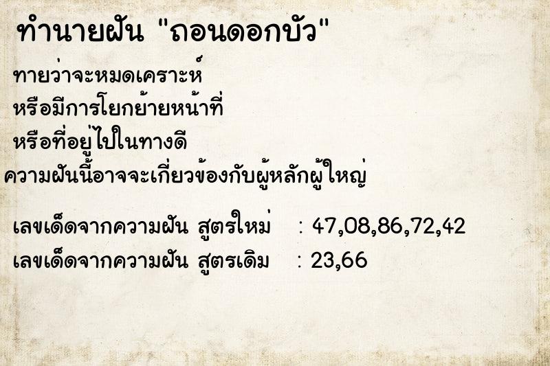 ทำนายฝัน ถอนดอกบัว ตำราโบราณ แม่นที่สุดในโลก