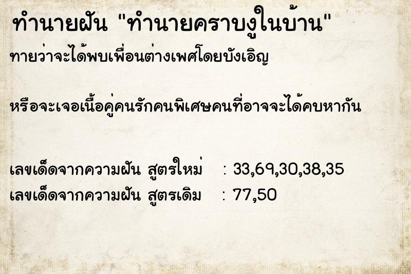 ทำนายฝันทำนายคราบงูในบ้าน ทำนายฝันทำนายฝันทำนายคราบงูในบ้าน