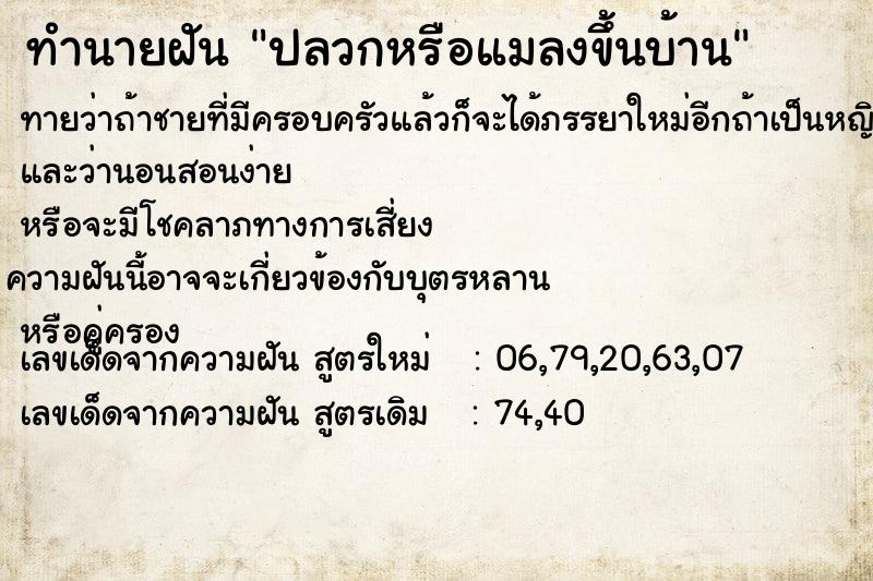 ทำนายฝัน ปลวกหรือแมลงขึ้นบ้าน ทำนายฝัน ปลวกหรือแมลงขึ้นบ้าน