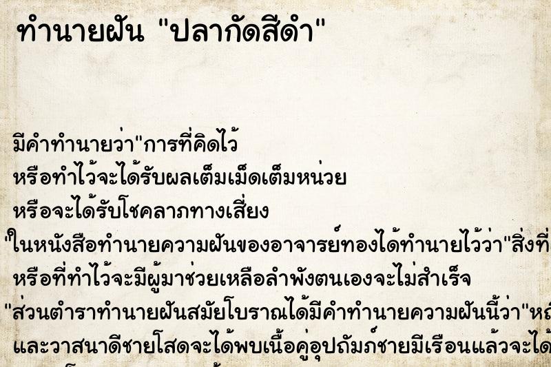 ทำนายฝัน ปลากัดสีดำ ทำนายฝัน ปลากัดสีดำ