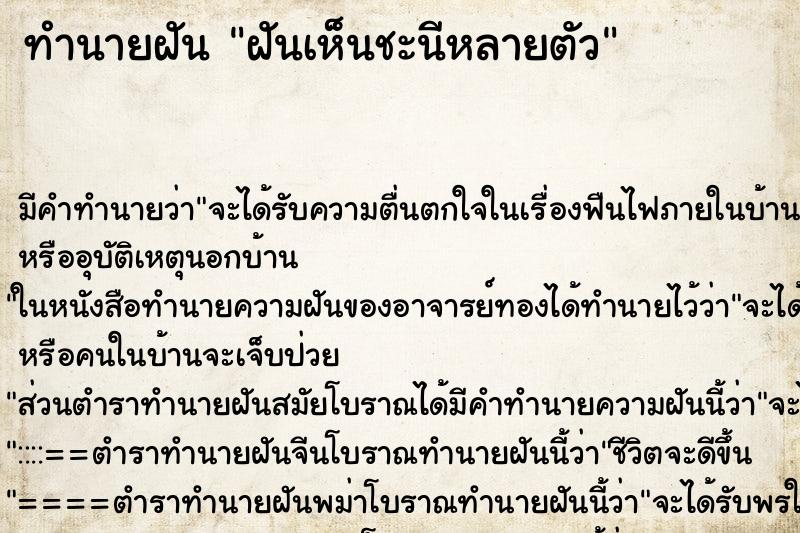 ทำนายฝัน ฝันเห็นชะนีหลายตัว ทำนายฝัน ฝันเห็นชะนีหลายตัว