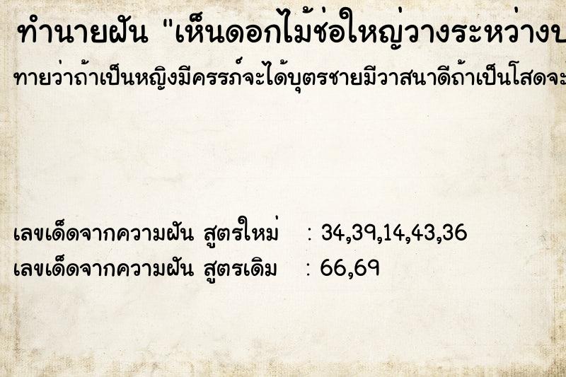 ทำนายฝันทำนายฝันเห็นดอกไม้ช่อใหญ่วางระหว่างประตู