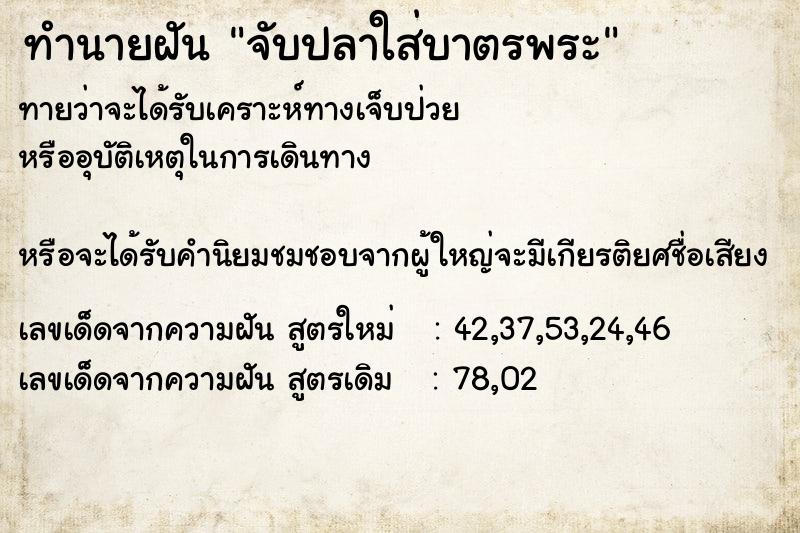 ทำนายฝัน จับปลาใส่บาตรพระ ทำนายฝัน จับปลาใส่บาตรพระ