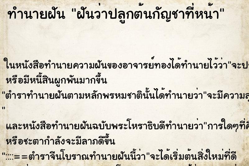 ทำนายฝันฝันว่าปลูกต้นกัญชาที่หน้า ทำนายฝันทำนายฝันฝันว่าปลูกต้นกัญชาที่หน้า