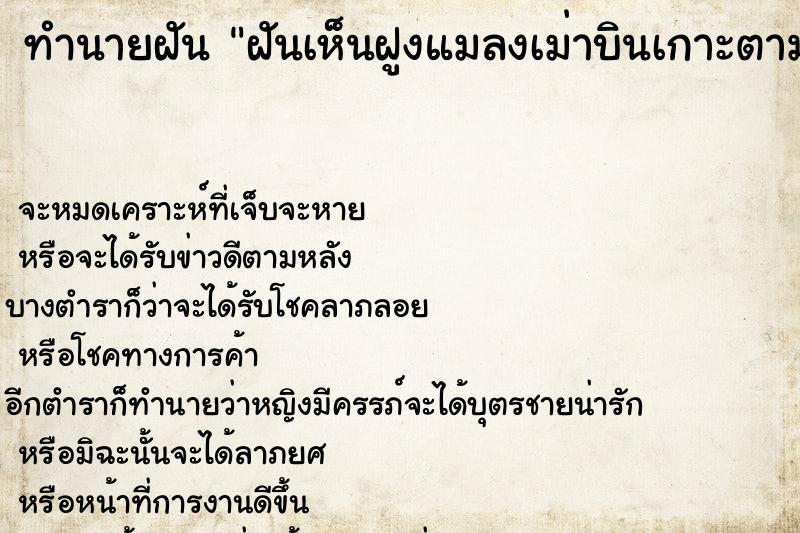 ทำนายฝันฝันเห็นฝูงแมลงเม่าบินเกาะตามตัวบินเต็มห้อง ทำนายฝันทำนายฝันฝันเห็นฝูงแมลงเม่าบินเกาะตามตัวบินเต็มห้อง