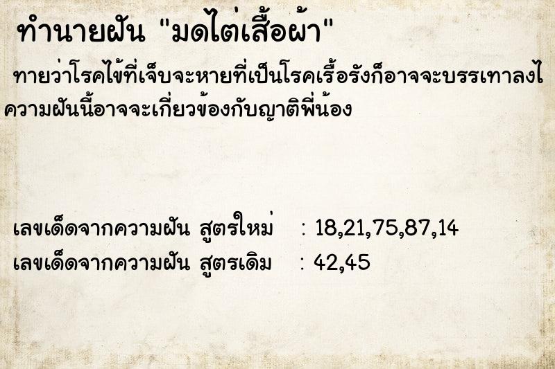 ทำนายฝันมดไต่เสื้อผ้า ทำนายฝันทำนายฝันมดไต่เสื้อผ้า