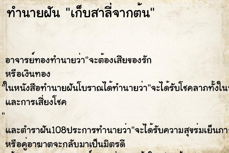 ทำนายฝัน เก็บสาลี่จากต้น ทำนายฝัน เก็บสาลี่จากต้น
