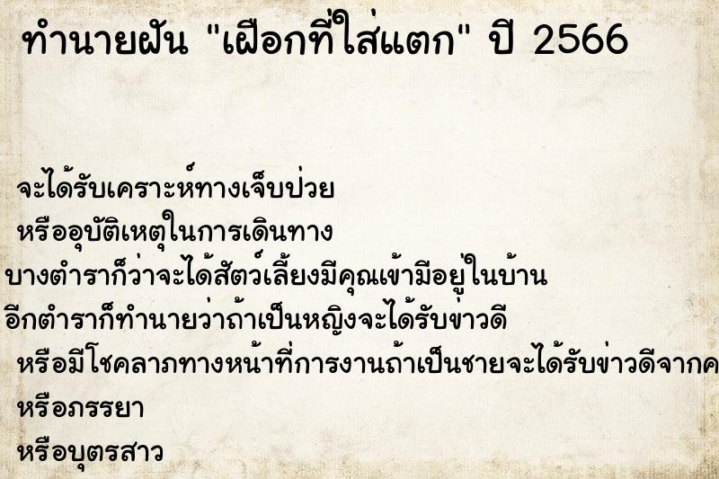 ทำนายฝันเฝือกที่ใส่แตก ทำนายฝันทำนายฝันเฝือกที่ใส่แตก