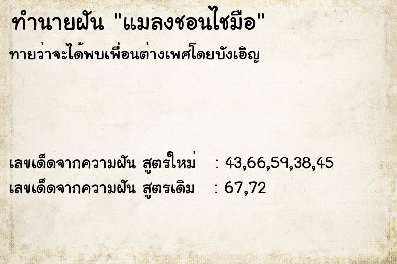 ทำนายฝันแมลงชอนไชมือ ทำนายฝันทำนายฝันแมลงชอนไชมือ