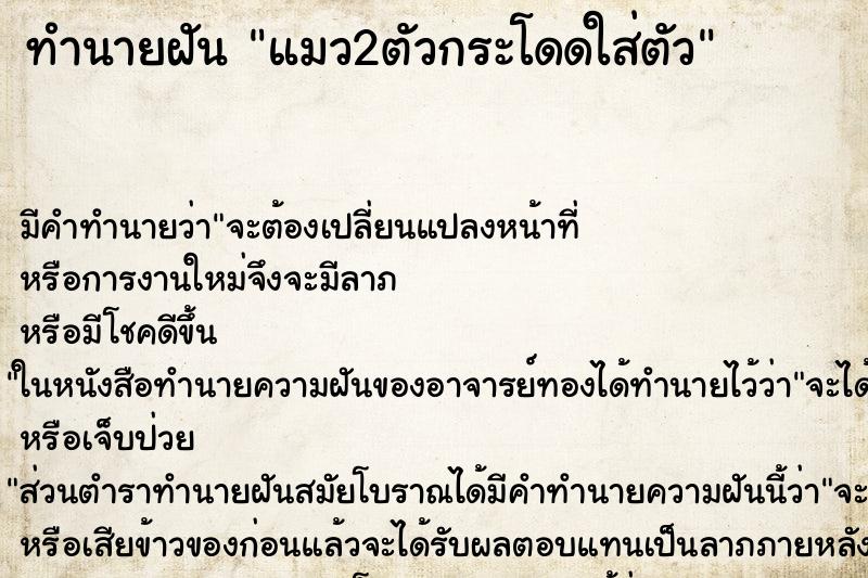 ทำนายฝันแมว2ตัวกระโดดใส่ตัว ทำนายฝันทำนายฝันแมว2ตัวกระโดดใส่ตัว