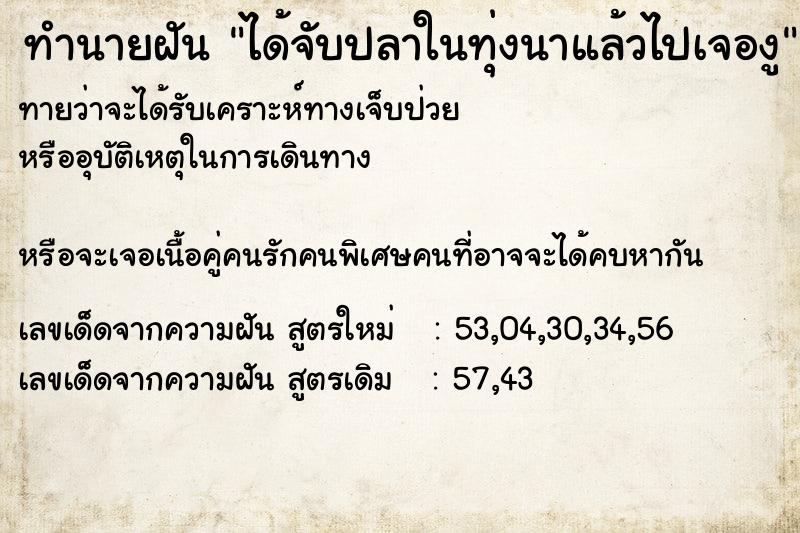 ทำนายฝันได้จับปลาในทุ่งนาแล้วไปเจองู ทำนายฝันทำนายฝันได้จับปลาในทุ่งนาแล้วไปเจองู