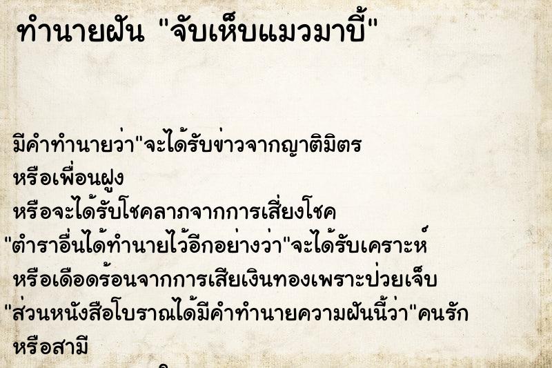 ทำนายฝัน จับเห็บแมวมาบี้ ตำราโบราณ แม่นที่สุดในโลก