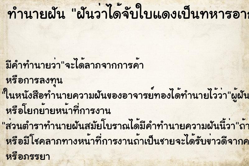 ทำนายฝันฝันว่าได้จับใบแดงเป็นทหารอากาศ ทำนายฝันทำนายฝันฝันว่าได้จับใบแดงเป็นทหารอากาศ