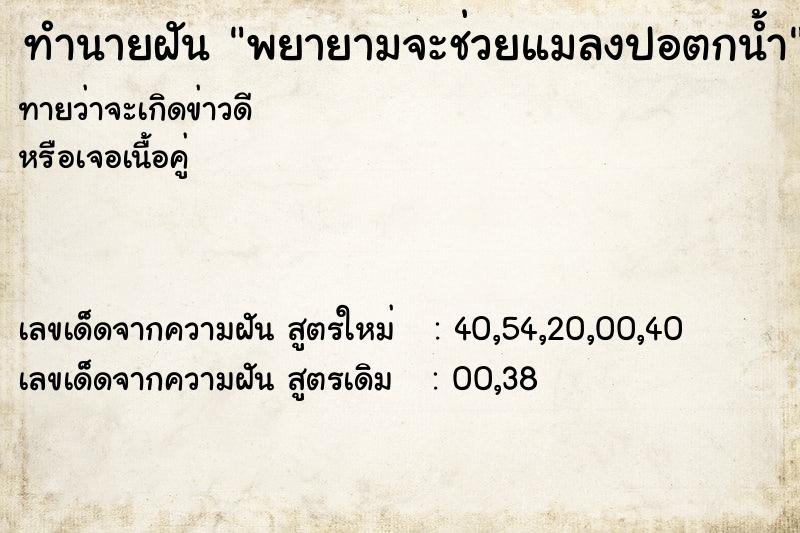 ทำนายฝันพยายามจะช่วยแมลงปอตกน้ำ ทำนายฝันทำนายฝันพยายามจะช่วยแมลงปอตกน้ำ
