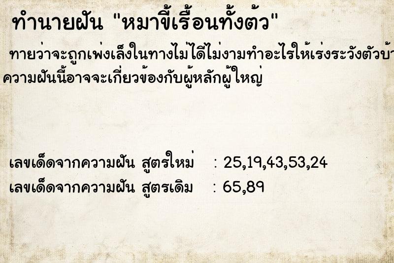 ทำนายฝันหมาขี้เรื้อนทั้งต้ว ทำนายฝันทำนายฝันหมาขี้เรื้อนทั้งต้ว