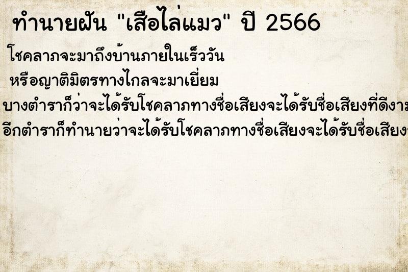 ทำนายฝันทำนายฝันเสือไล่แมว