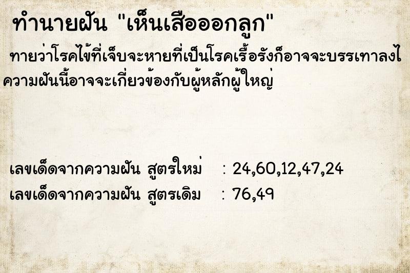 ทำนายฝันทำนายฝันเห็นเสือออกลูก