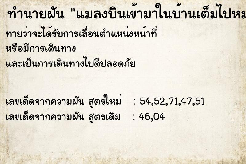 ทำนายฝันทำนายฝันแมลงบินเข้ามาในบ้านเต็มไปหมด