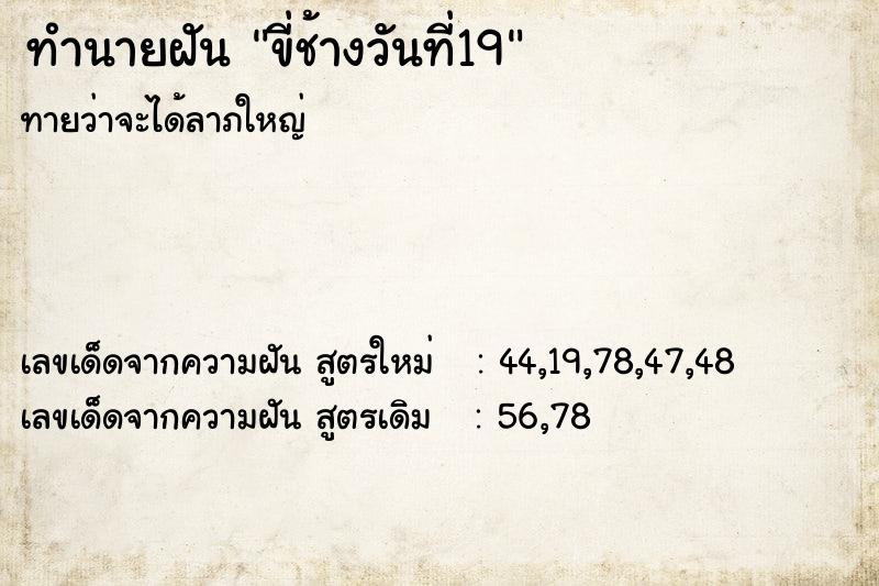 ทำนายฝัน ขี่ช้างวันที่19