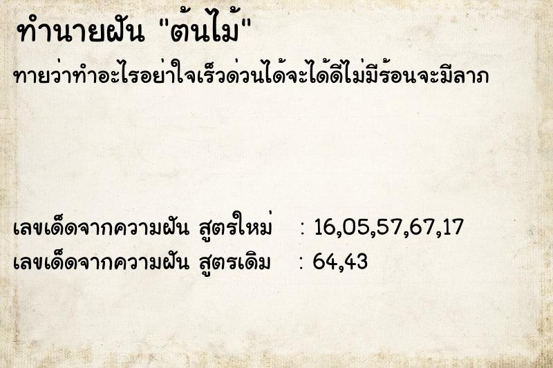 ทำนายฝัน ต้นไม้